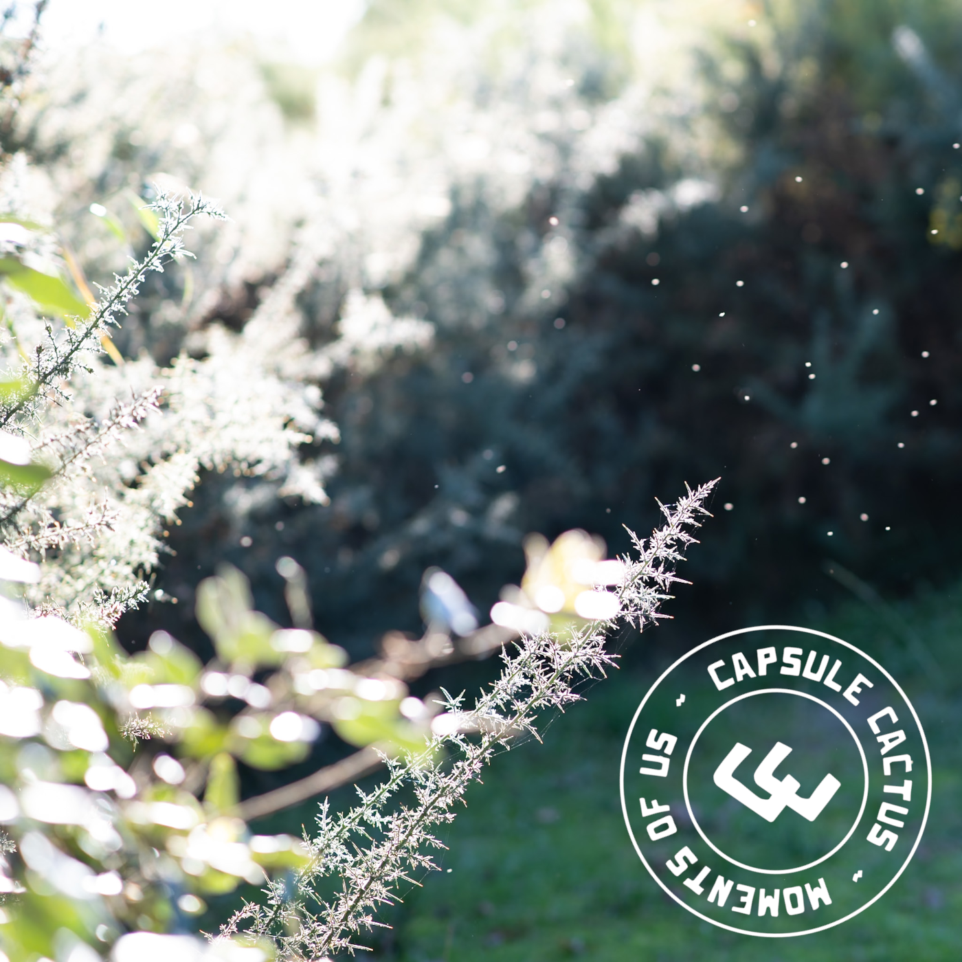 Moments of us (2026)