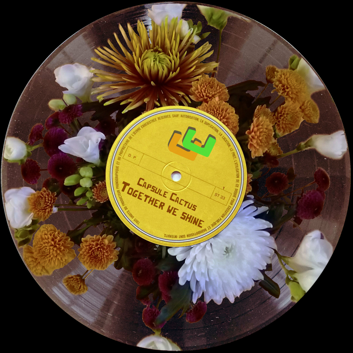 Together we shine (single)