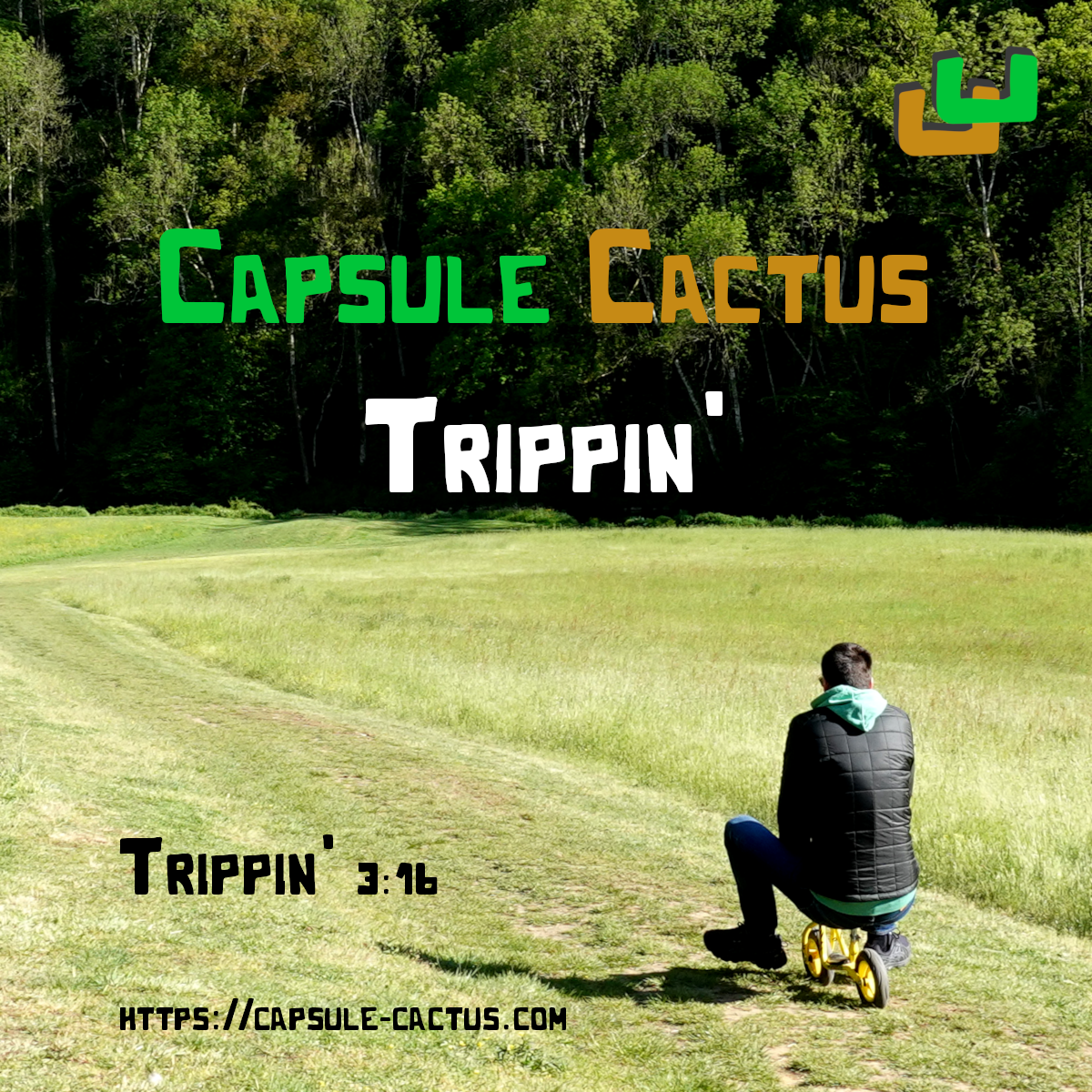 Pochette de Trippin'