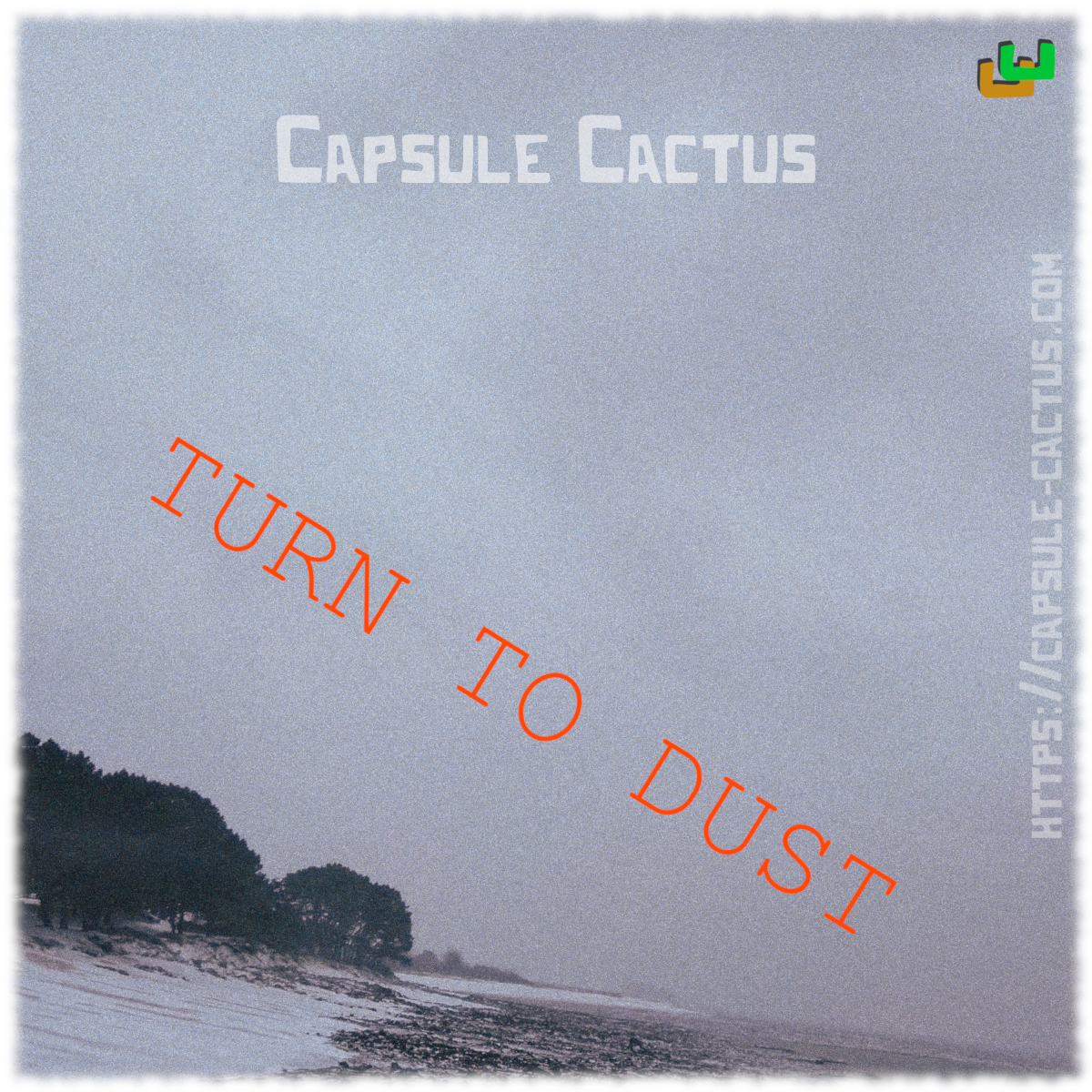 Pochette de Turn to dust'